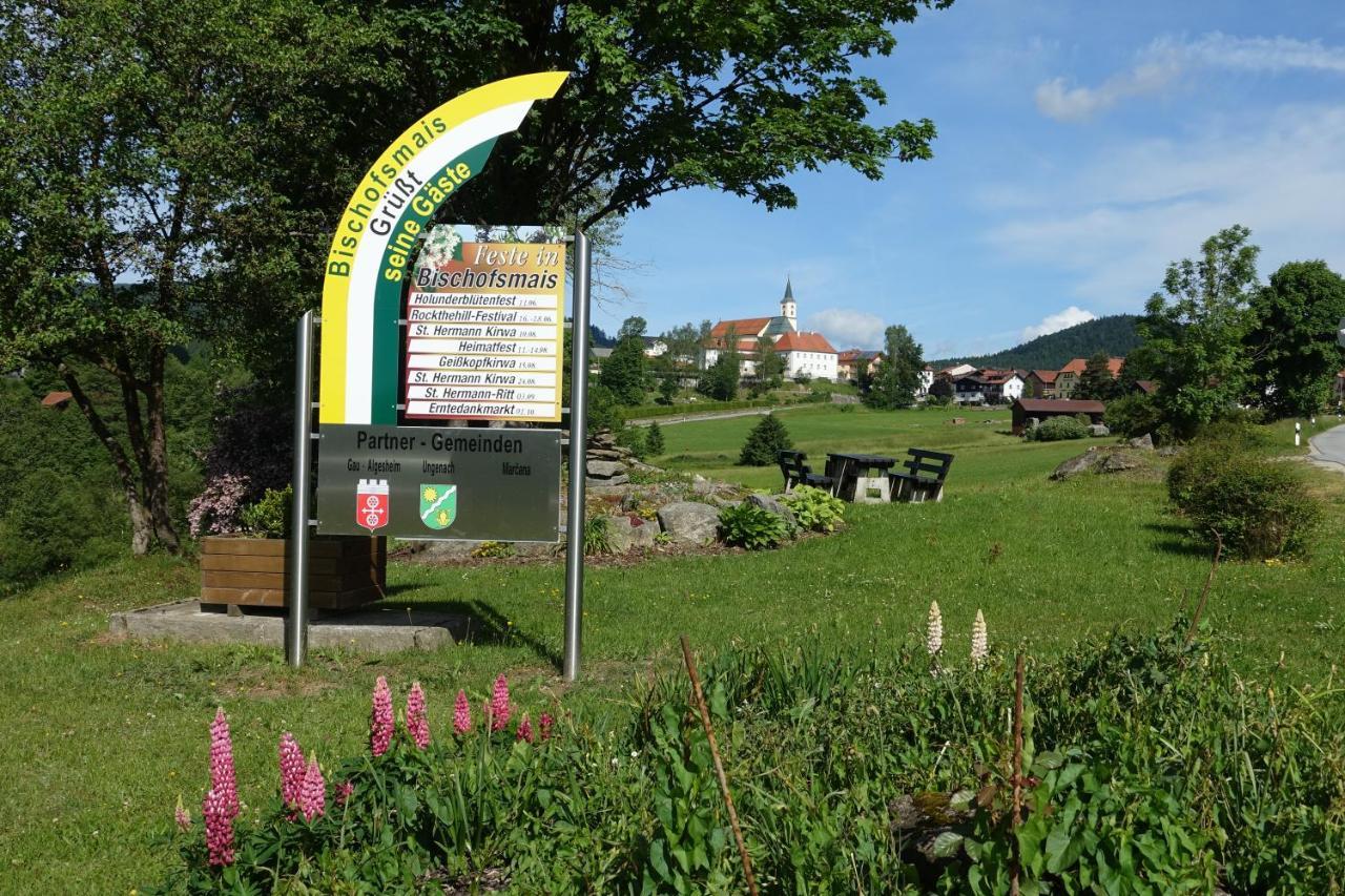 Am Hermannsbachl Bischofsmais Buitenkant foto