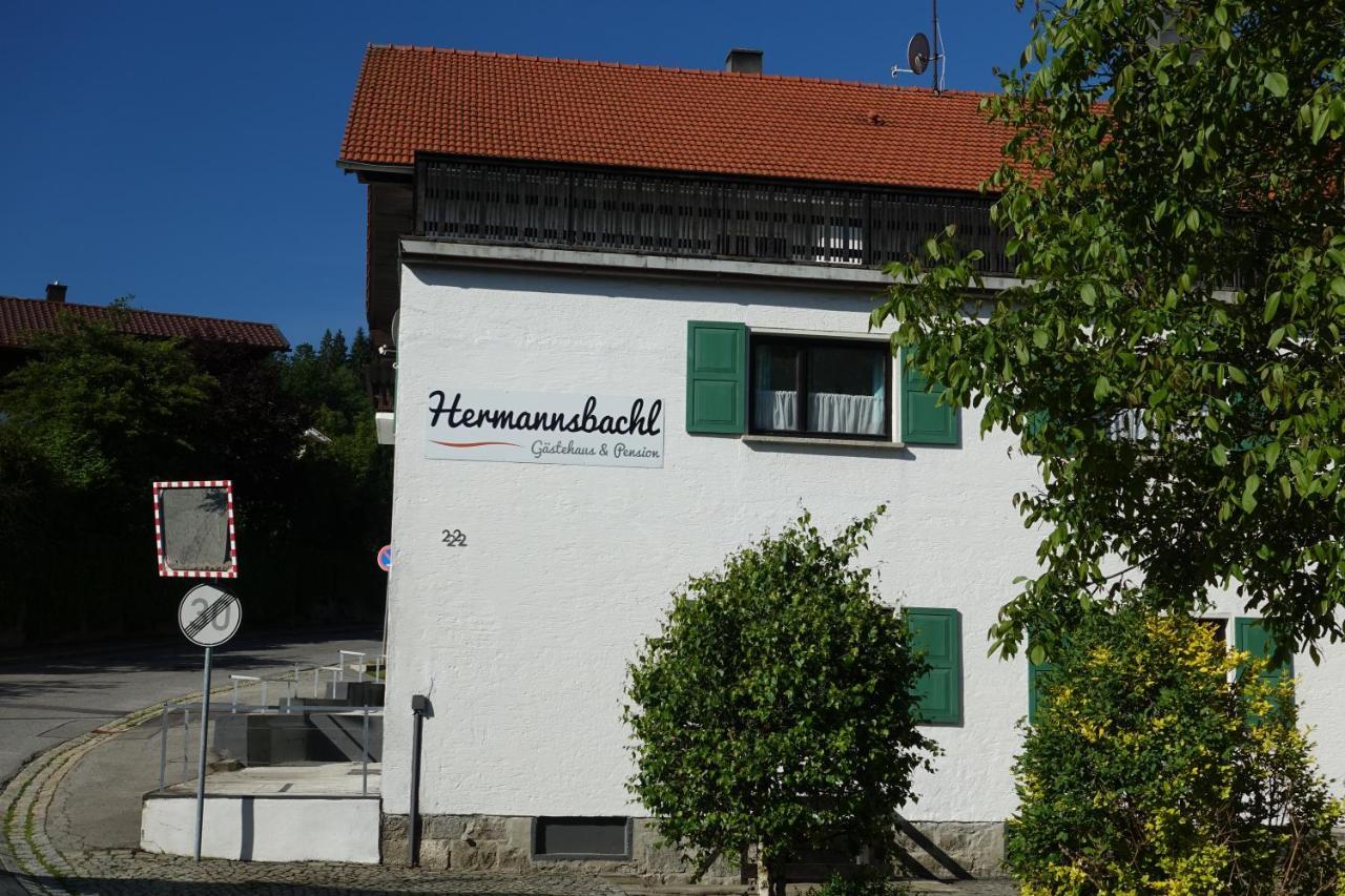 Am Hermannsbachl Bischofsmais Buitenkant foto